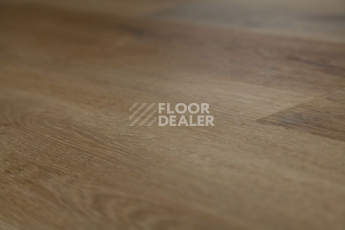 Tarkett Funky House BOB фото 3 | FLOORDEALER